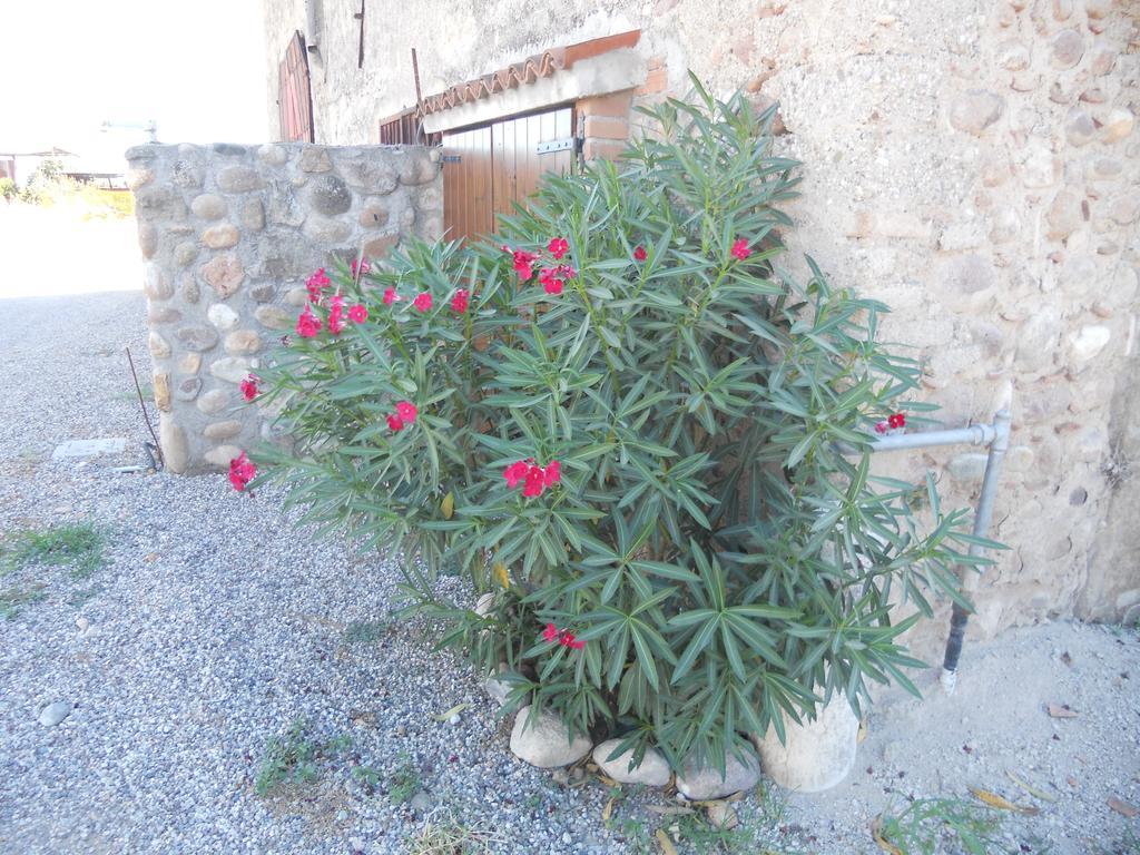 Villa Agriturismo Le Mura Del Gherlo Valeggio sul Mincio Exterior foto